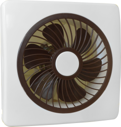 LMS (LIGHT MECHANIC STRESS) | Anchor 